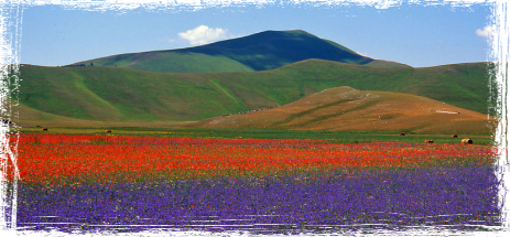 Umbria Voice Turismo in Umbria archeologia, natura, gastronomia, spiritualità, arte